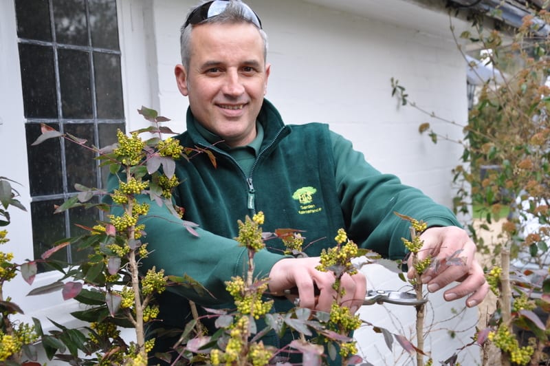 Gardening Business Owner Hersham Steve Frise